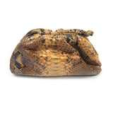 Brown Python Leather Clutch with Strap / SISTA PARIS