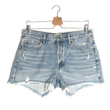 Light Blue High Rise PARKER Shorts / AGOLDE - Size 29