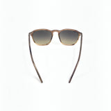 Striped Brown RB2203 Unisex Square Sunglasses / RAY-BAN