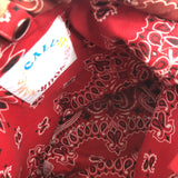 Vintage Red SEAU Bandana Bucket Bag / CALL IT BY YOUR NAME