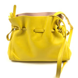 Yellow PROTEA Soft Leather Shoulder Bag / MANSUR GAVRIEL